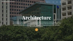 Custom website design