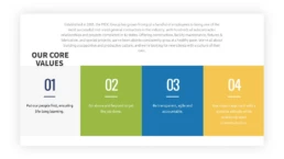 Website Page