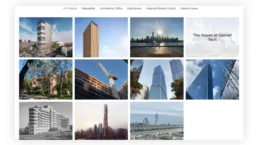 Website Page