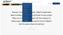 custom website design