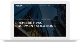 Website for an MEP