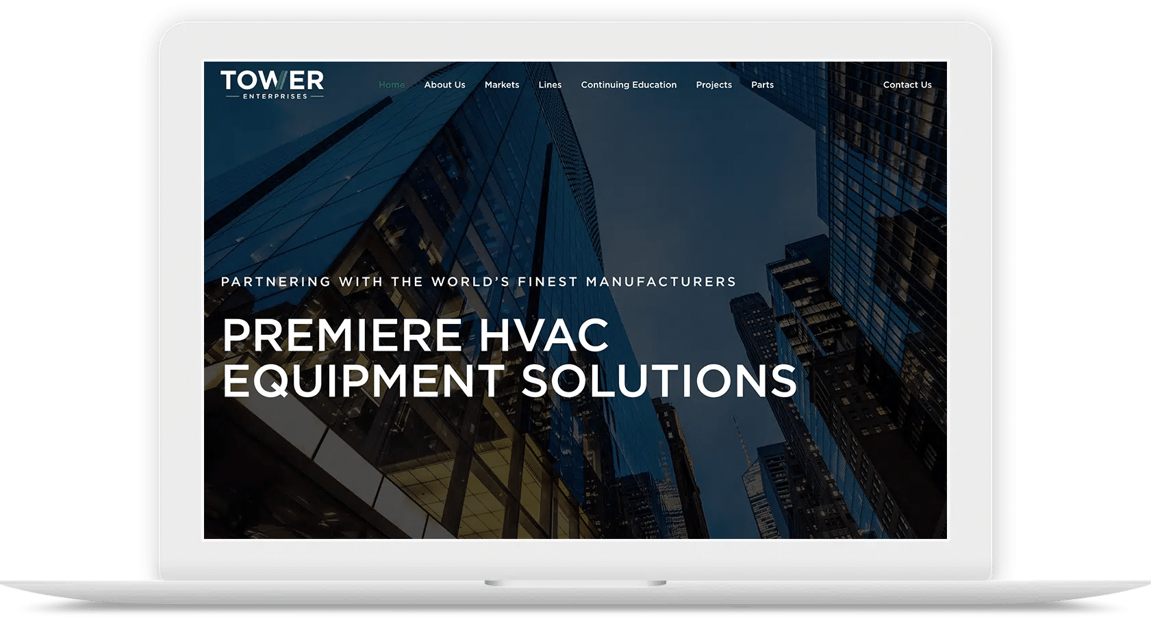 Website for an MEP