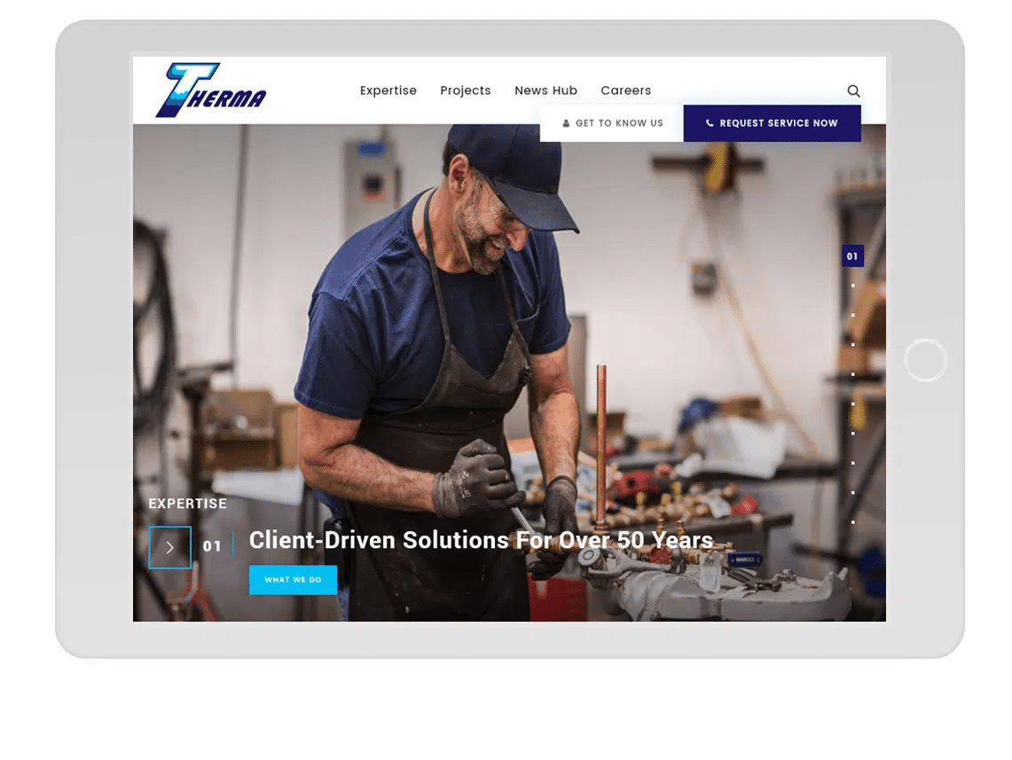 Website for a MEP
