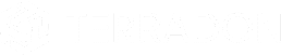 Logo for an engineer